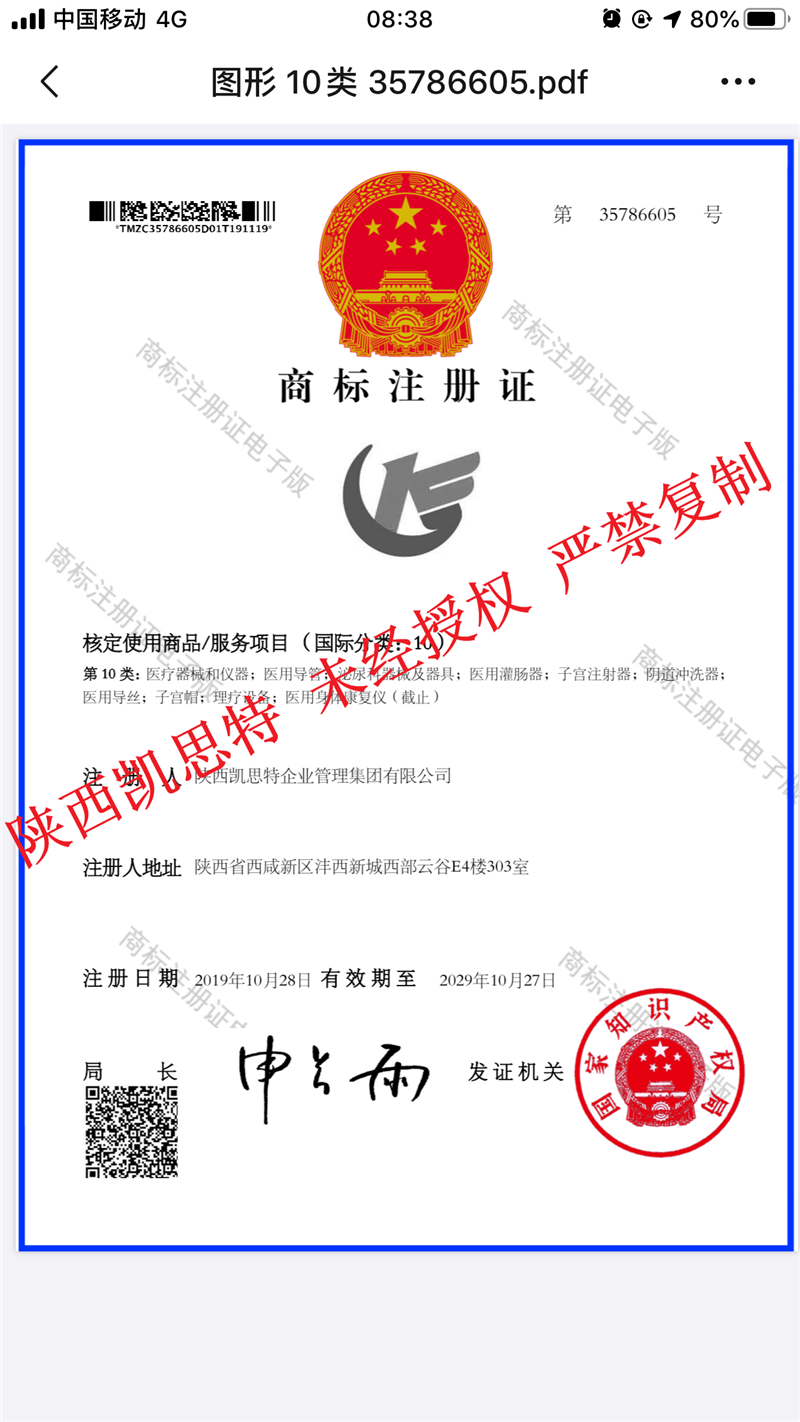 【陜西凱思特】圖形商標